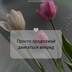 Звук