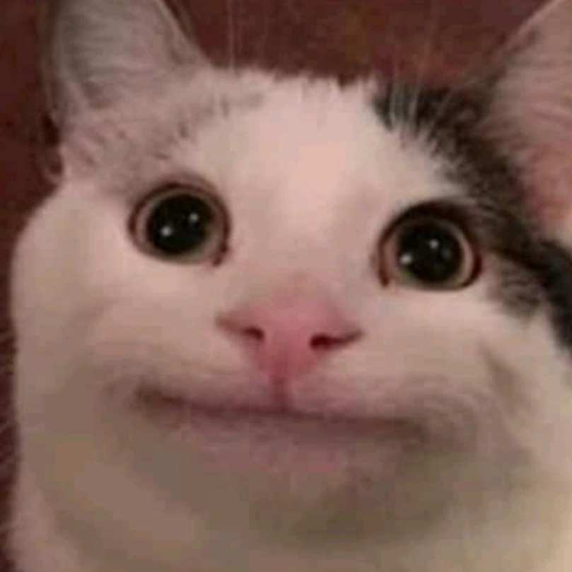 Звук