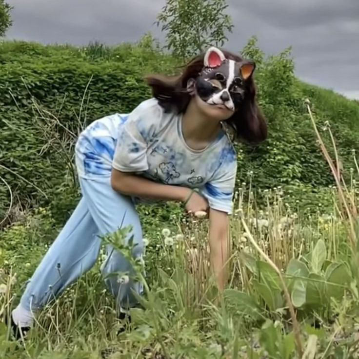 Звук