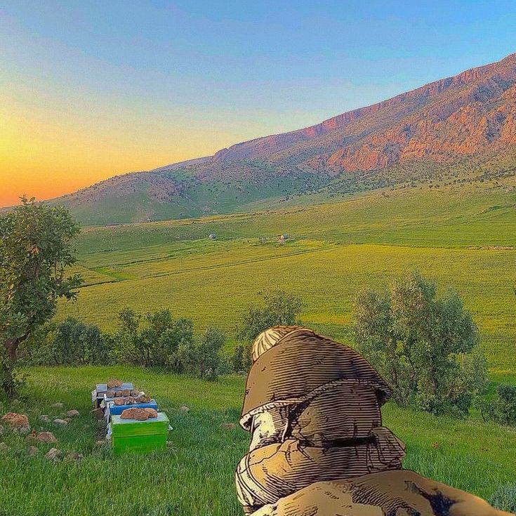 Звук